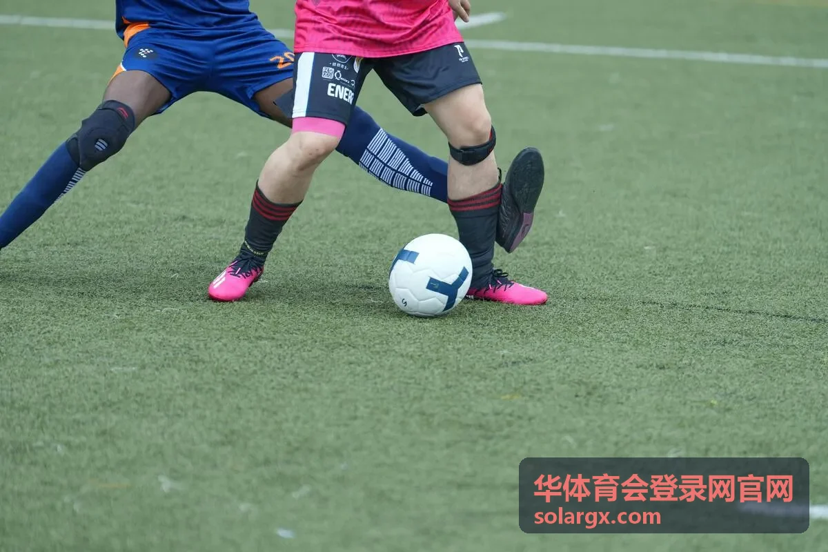 华体育会登录网官网资讯信息分类图